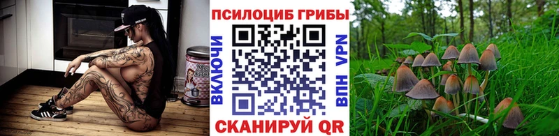 маркетплейс формула  Бронницы  Псилоцибиновые грибы MAGIC MUSHROOMS  omg зеркало 